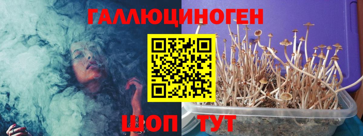 Псилоцибиновые грибы Magic Shrooms  Вход с VPN  Кингисепп 