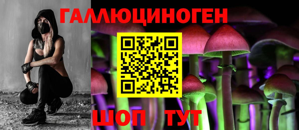 Псилоцибиновые грибы прущие грибы Кингисепп