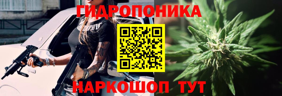 Шишки марихуана THC 21% Кингисепп
